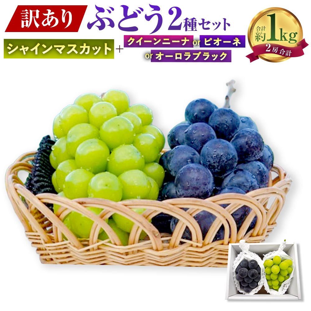 【ふるさと納税】訳ありぶどう2種セット 約1kg 2房 ぶどう ブドウ 葡萄 種なし 果物 くだもの フルーツ 詰め合わせ 岡山県産 岡山県 美咲町 送料無料【2026年10月上旬から12月下旬頃迄発送予定】