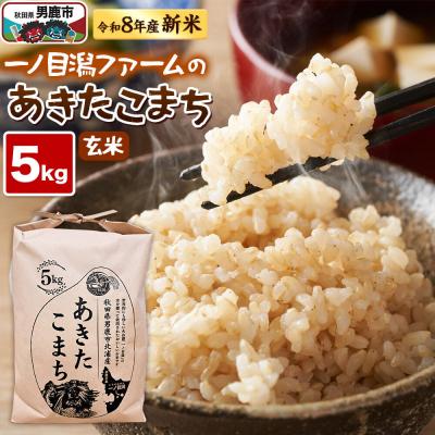ふるさと納税 男鹿市 (新米先行受付) あきたこまち(玄米)5kg  一ノ目潟 ファーム|23_imf-010501s