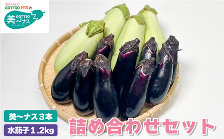 水茄子 約1.2kg 美～ナス 3本 詰合せ セット なすび 茄子 翡翠茄子 水なす ナス なす