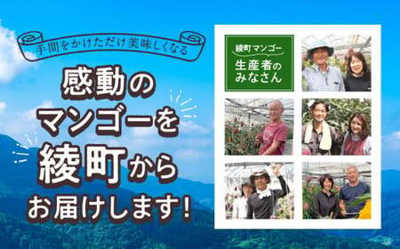 【訳あり】完熟マンゴー 2L×2玉（パック）濃厚 宮崎 果物 フルーツ 贈答 ギフト 甘い 先行受付 送料無料【JA綾町】_A0114-1101