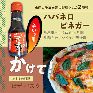酢4本とおにおんスパイス1本 ( 酢 お酢 玉葱 タマネギ たまねぎ オニオンスパイス セット )【117-0002】