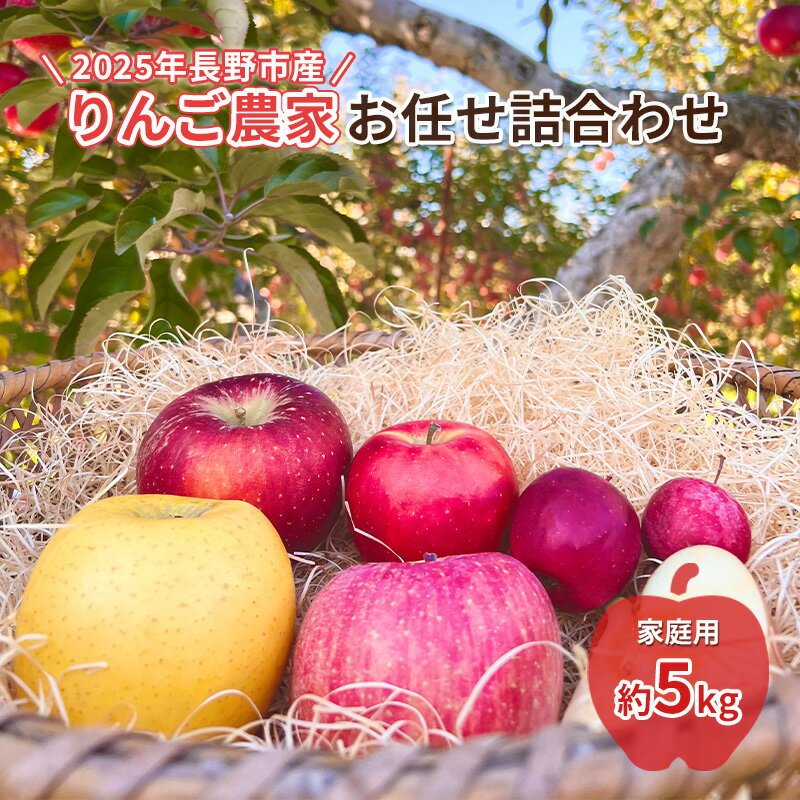 【ふるさと納税】2024年長野市産　りんご農家お任せ詰合わせ　家庭用約5kg 林檎 リンゴ 詰め合わせ 果物類 果物 　お届け：2026年12月上旬～12月下旬
