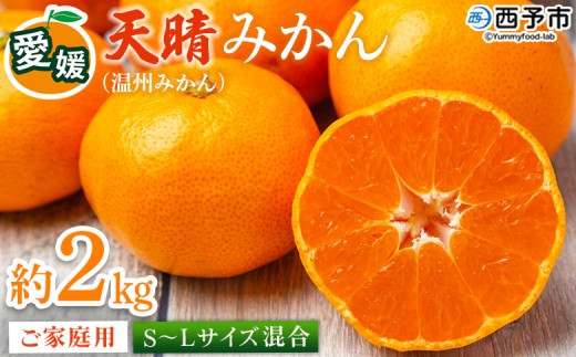 ＜愛媛県明浜産 天晴みかん（温州みかん）約2kg S～L混合＞ 家庭用 訳あり ワケアリ 果物 くだもの フルーツ ミカン 柑橘 特産品 笑丸 愛媛県 西予市【常温】『2026年11月中旬～2027年1月上旬迄に順次出荷予定』