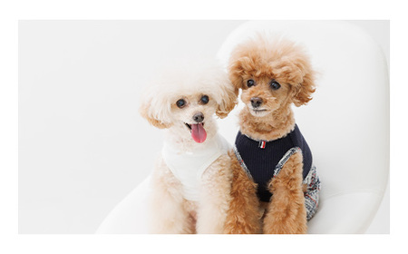 昭和堂写真館 利用補助券 30,000円分 10,000円×3枚 写真館 撮影 写真 フォト 衣装 記念日 誕生日 お祝い 思い出 記念撮影 家族 七五三 就活 終活 証明写真 ウェディング マタニテ