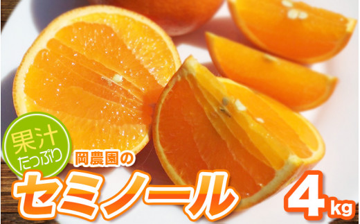 サイズL以上(L・2L・3L)岡農園のセミノール4kg【2026年3月下旬から4月下旬までに順次発送】 / セミノール みかん 蜜柑 数量限定 ミカン