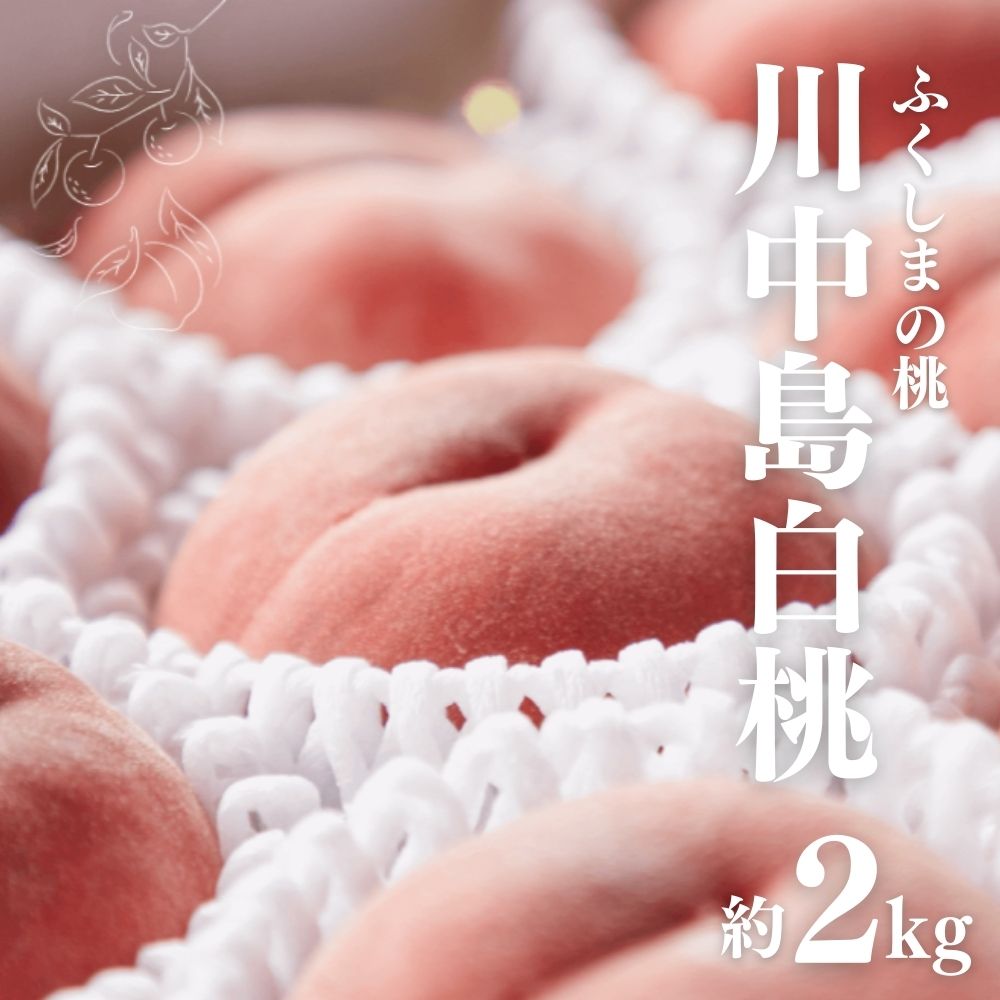 【ふるさと納税】No.2723福島市産　川中島白桃　約2kg【2025年発送】