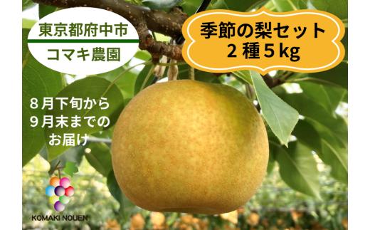 【コマキ農園】季節の梨セット（2種・5kg)