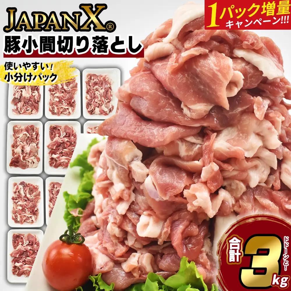 【期間限定・1パック増量キャンペーン！】JAPAN X 豚小間 切り落とし/計3kg+300g　【04301-0067】豚肉 豚 ブランド豚 小分け 豚こま 豚小間 切落し ジャパンエックス 蔵王 人