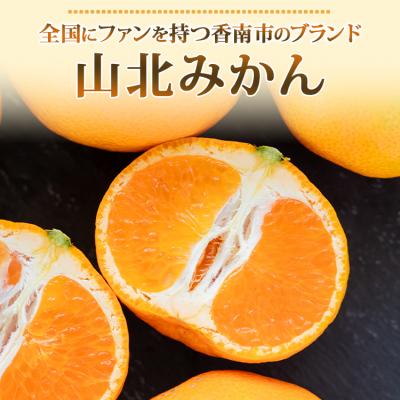 ふるさと納税 香南市 山北温室みかん2.5kg ku-0030 |  | 01