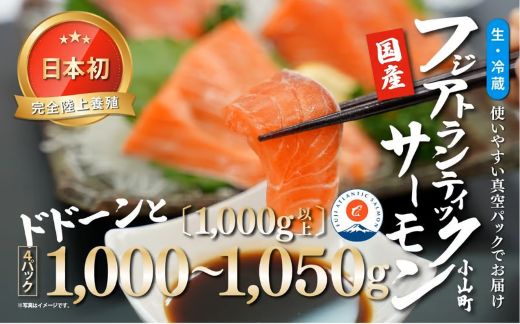 2B9日本初 完全陸上養殖 フジアトランティックサーモン 生 ・冷蔵 4パック 1,000～1,050g（ 1,000g以上 ）