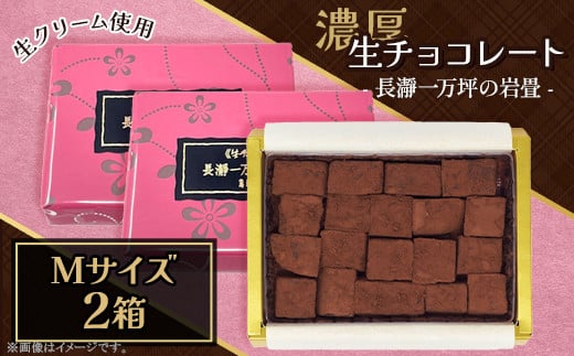 生チョコレート Ｍサイズ 2箱「長瀞一万坪の岩畳」約133g
