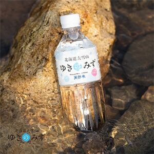 【2ヵ月毎定期便】北海道大雪山　ゆきのみず　550ml×24本入り【633】全4回【4066053】