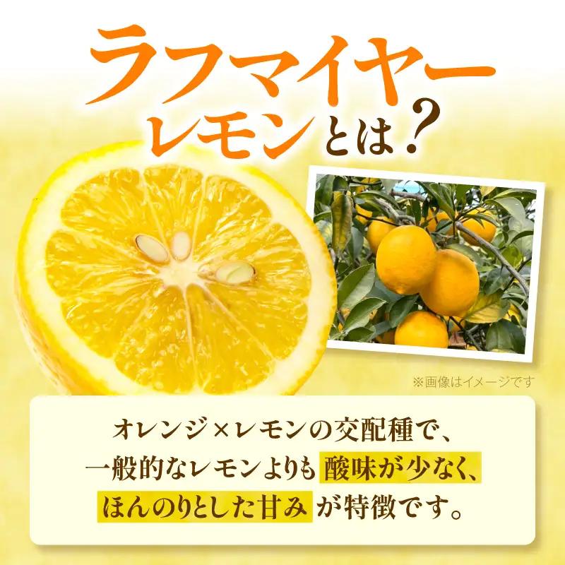【先行受付】 上毛町産ラフマイヤーレモン 2kg （完熟レモン） _OF0608