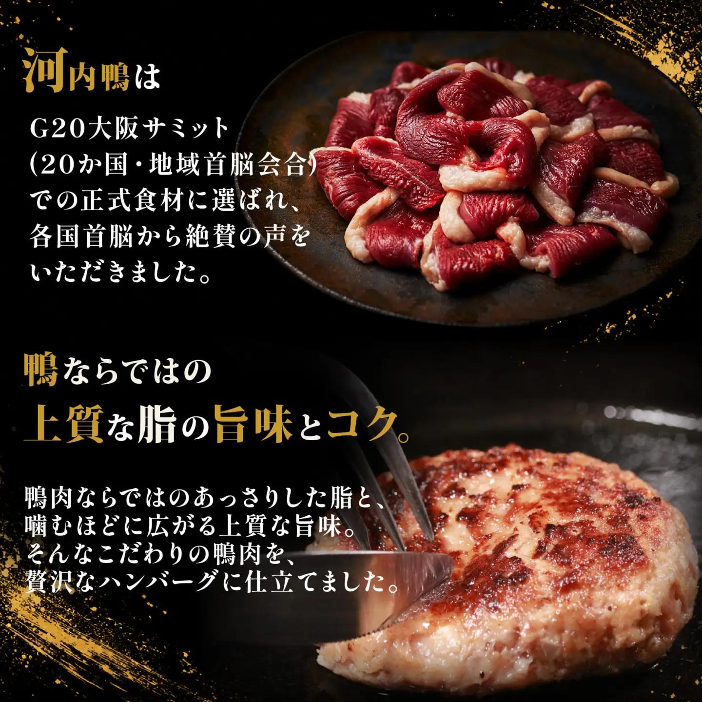 【河内鴨100％】 10個 鴨 ハンバーグ