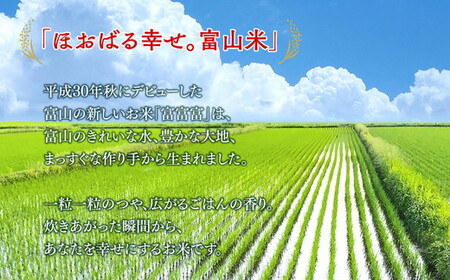 富山米「富富富」2kg（白米）