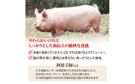 ソーセージ 国産 豚肉 フランクフルト 1440g (180g×8P) ウインナー ウインナー ウインナー