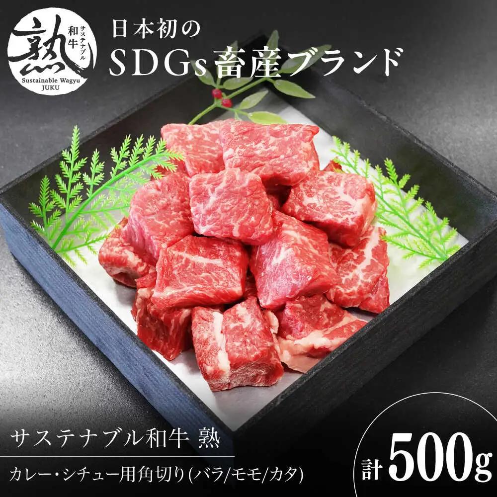 牛肉 サステナブル和牛 角切り カレー・シチュー用（モモ/カタ/バラ） 500g  [AIAT017] 