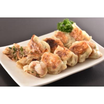 ふるさと納税 帯広市 北の匠　手作り餃子4種【計75個】 |  | 02