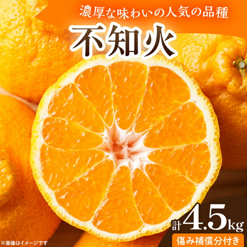 【ふるさと納税】先行予約 不知火 計4.5kg 傷み補償分入り 期間限定 果物 くだもの フルーツ 蜜柑 ミカン 柑橘 おやつ デザート みかんジュース ゼリー シャーベット おすすめ おすそ分け 国産 食品 産地直送 お祝い お返し ギフト 贈り物 贈答 宮崎県 日南市 送料無料