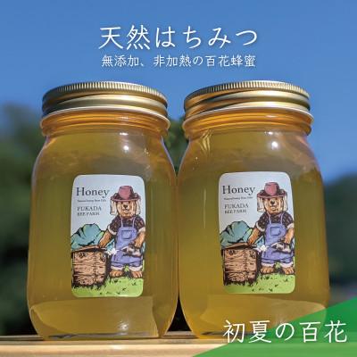 ふるさと納税 美濃市 合計1200g 深田養蜂の天然蜂蜜 国産蜂蜜 非加熱 生蜂蜜 岐阜県 美濃市産 初夏 B6