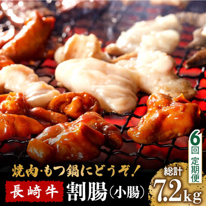 【6回定期便】長崎牛 割腸（小腸） 焼肉・ホルモン 鍋 用 1.2kg  / ホルモン 牛 もつ鍋 南島原市 / はなぶさ [SCN119]