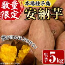 【ふるさと納税】＜期間限定・数量限定！＞種子島産 安納芋(5kg)国産 中種子町 芋 さつま芋 生芋 デザート おやつ 焼芋 やきいも 焼き芋 野菜【あぐりの里】