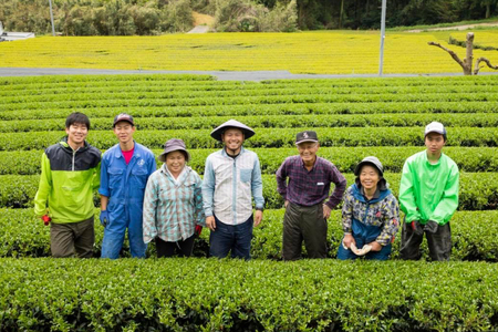 そのぎ茶 緑茶 そのぎ茶《茶縁》「つゆひかり」100g 2袋入
