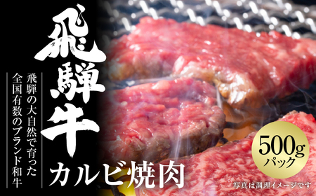 飛騨牛 カルビ焼肉 500g 黒毛和牛 和牛 飛騨高山ミート [MZ037]