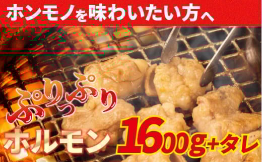 大人気焼肉屋さんのご家庭で簡単！モツ焼き肉セット1600g　ホルモン もつ 国産 焼肉 国産ホルモン 牛ホルモン もつ鍋／Amu-04