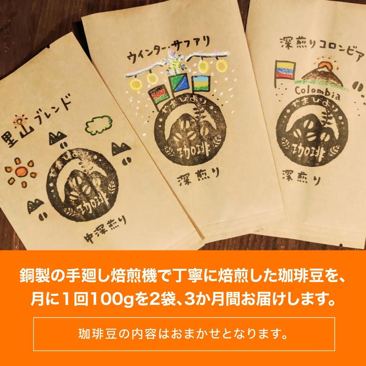 【定期便】【粉にする】やまびより珈琲【珈琲豆100g 2袋×3か月分】 飲み比べ 2種類  HNNAF009