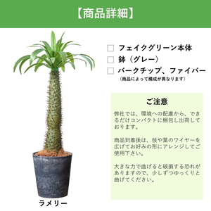 フェイクグリーン Botanical life+ Dシリーズ ラメリー 110cm 光触媒加工 鉢付き インテリア 抗菌 消臭 愛知県 豊橋市 送料無料 52000円