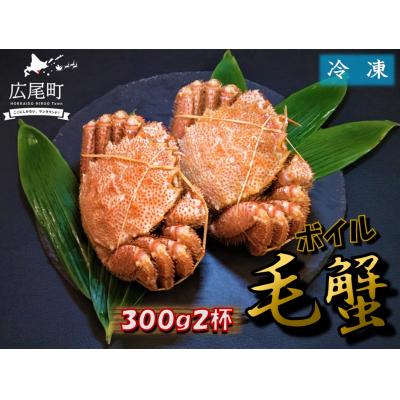 ふるさと納税 広尾町 毛ガニ300g×2杯(冷凍茹で)(0100)
