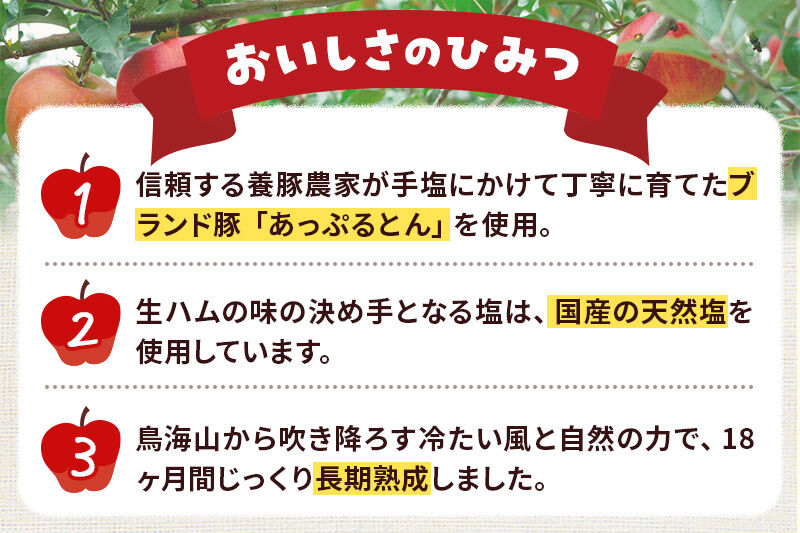 《定期便12ヶ月》生ハム スライス 30g×5パック 長期熟成 国産豚肉 あっぷるとん 秋田県横手市産 [ブランド豚 国産生ハム 熟成]