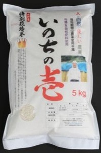 令和7年産 米 いのちの壱 5kg / 米 白米 5kg 米