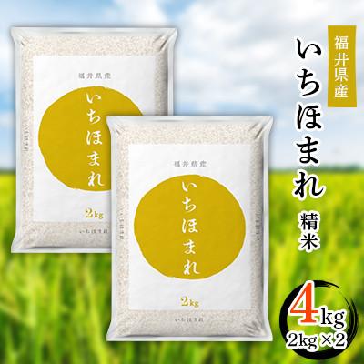 ふるさと納税 勝山市 【毎月定期便】いちほまれ2kg×2全3回