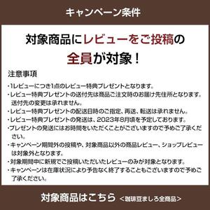 カフェオレベース２本（無糖＆加糖 各１本 600ml 瓶）ギフト詰め合わせ スペシャルティコーヒー【カフェオレ 珈琲 カフェオレ セット広島県 尾道市】