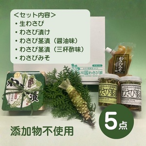 （冷蔵）わさび農家直送　無添加こだわり加工品+　生わさびDXセット 1384 ／ 大川因わさび園 わさび漬 わさび茎漬 わさび味噌 静岡県