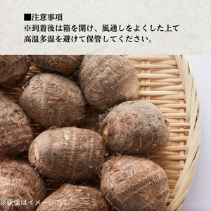 里芋 さといも 芋 いも 10kg 女早生 新鮮 柔らかい やわらかい もっちり あまい 四国中央市産