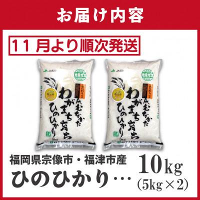 ふるさと納税 福津市 【R7年産】R7年11月〜JAより順次発送 「ひのひかり5kg」2袋[G2315a] |  | 03