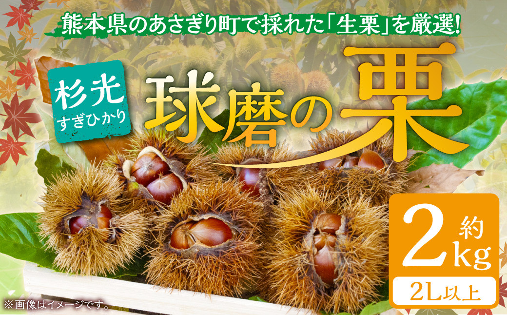 
            【発送時期：2025年9月上旬～】熊本県ＪＡくま産　球磨の栗　杉光 2kg(2L以上)
          
