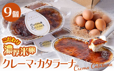 【こだわり濃厚米卵！】クレーマ カタラーナ 9個セット クレームブリュレ アイス 【氷窯アイス こめたま】[GF01]