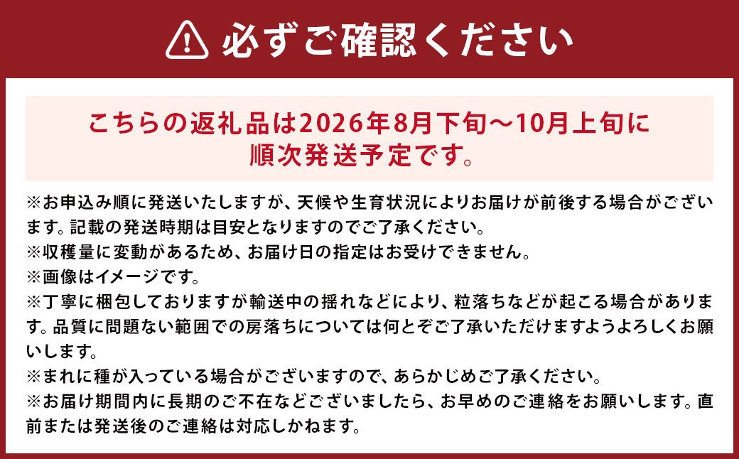 【訳あり品】福岡県産シャインマスカット