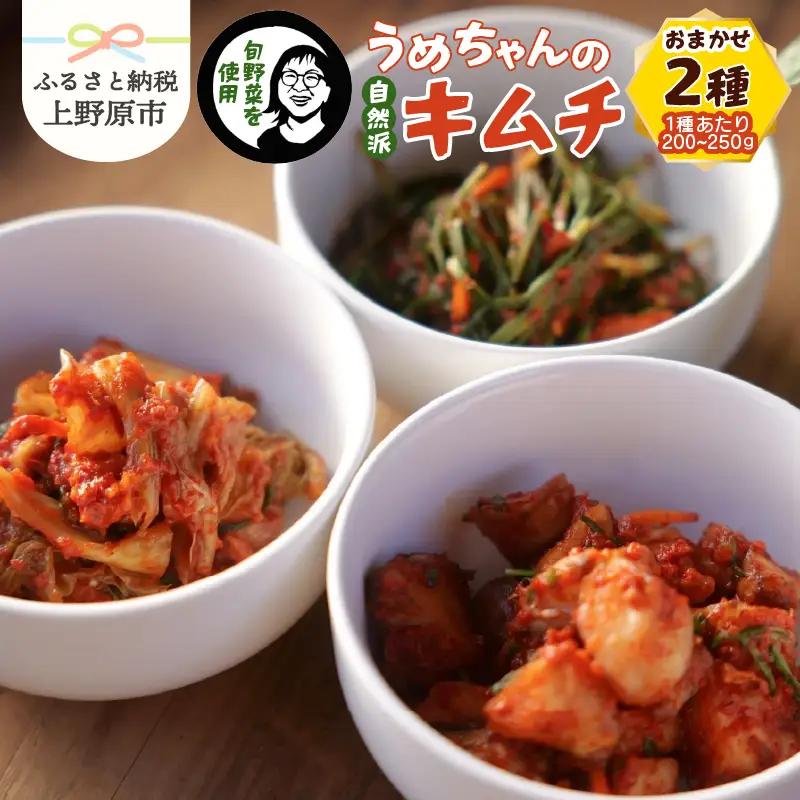 旬野菜で作るうめちゃんの自然派キムチ　おまかせ２種