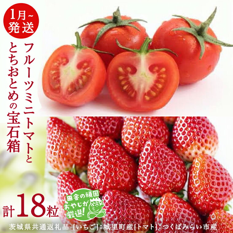 【ふるさと納税】 とちおとめ と フルーツミニトマト の宝石箱 【1月から発送開始 】（茨城県共通返礼品 [いちご]：城里町産　[トマト]：つくばみらい市産） 詰め合わせ 果物 フルーツ 茨城県産 いちご イチゴ 苺 トマト ミニトマト フルーツトマト