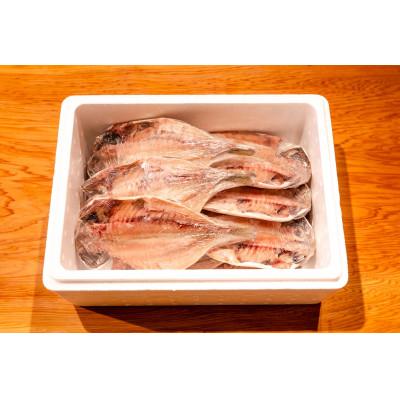 ふるさと納税 下田市 【下田市製造】特上真あじ干物 計12枚入り |  | 01