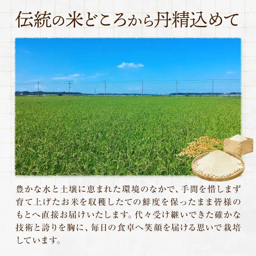 R8年産米 米 玄米 コシヒカリ 5kg《30日以内に出荷予定(土日祝除く)》