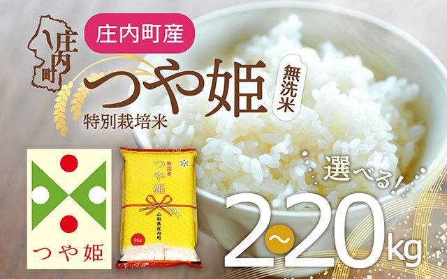 
                  特別栽培米 つや姫 無洗米 選べる内容量！2kg / 5kg / 6kg / 10kg / 2kg×5袋 / 15kg / 20kg 令和7年産 2025年産 庄内町産 余目産 余目町農協 あまるめ ブランド米 コシヒカリの原点、亀の尾発祥の地 庄内
                