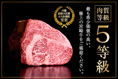 数量限定 5等級 宮崎牛 ロースステーキ 計500g 肉 牛 牛肉 ロース 黒毛和牛 国産 食品 おかず ステーキ 焼肉 BBQ 送料無料_DB22-23