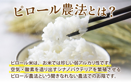 【12ヶ月定期便】富山県滑川産 弱アルカリ性米「ピロール農法米 コシヒカリ」（精米5kg）×12回 計60kg 与文のお米 産地直送 こしひかり おにぎり お米 白米 国産 ご飯 ごはん 滑川市 ピロ