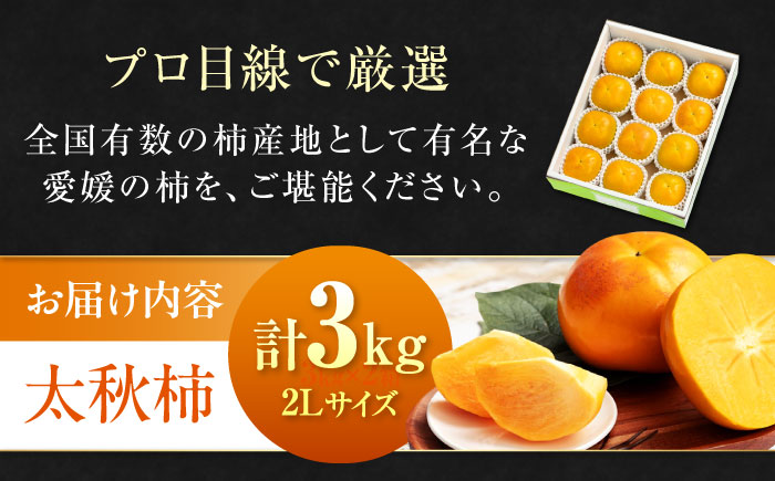 【先行予約】【10月上旬から順次発送】【期間・数量限定】柿の概念を超えたサクサク食感！愛媛県産 太秋柿 2Lサイズ 約3kg化粧箱入（12玉入り）かき カキ 柿 果物 フルーツ 愛媛県大洲市/愛媛たい